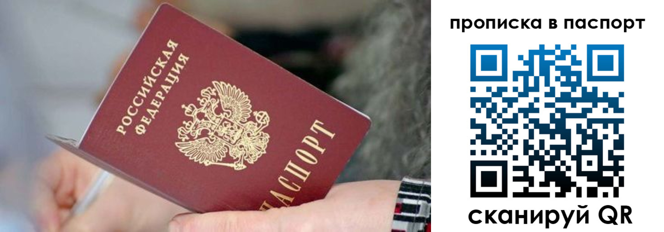 временная регистрация поиск в Мончегорске